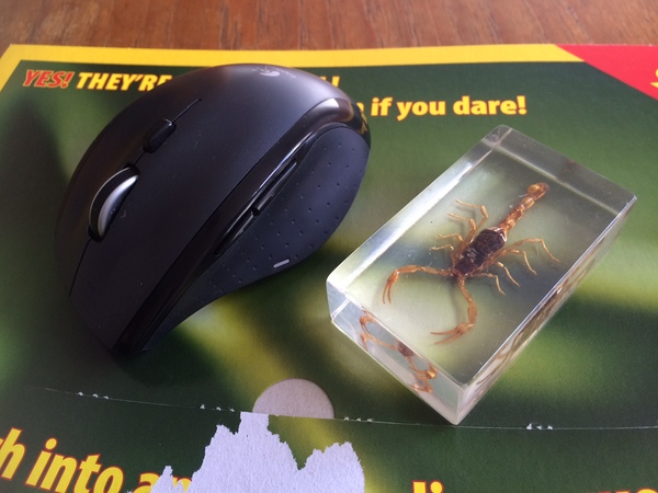 Thread 4 - cornerstone will be like Flaviar last year