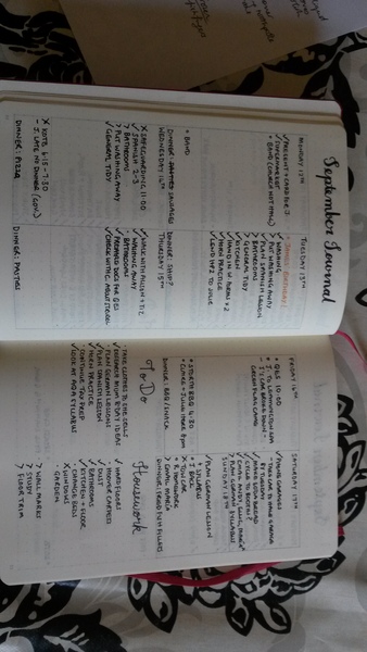 Bullet Journal thread 3: organise your life!