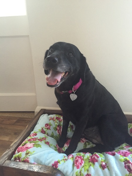Meet Candy