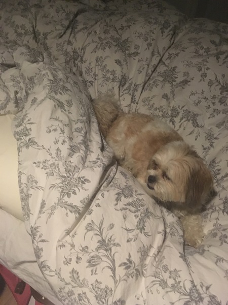 Due February 2017 - thread #7