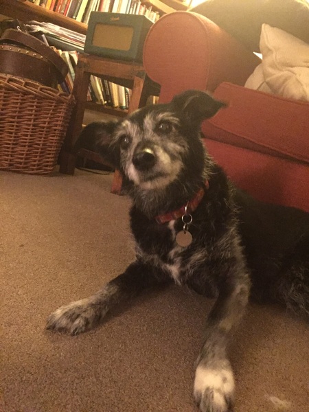 my darling is on her last lap - I need a bit of support