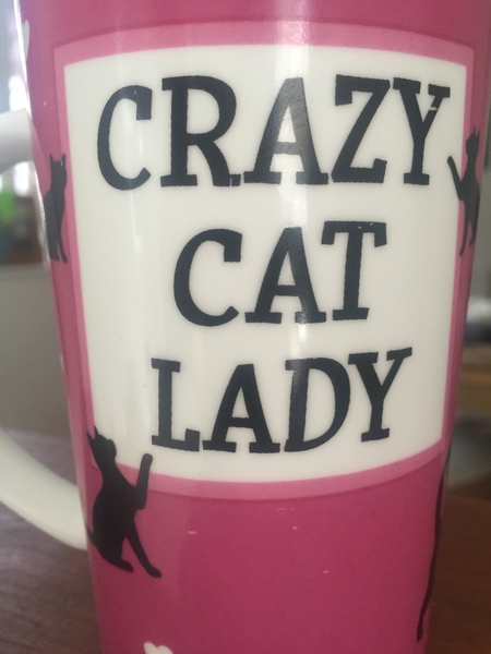 Due February 2017 - thread #7