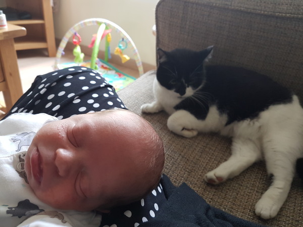 Thread 12 TTC#1 Grads. "You are my favourite thing that ever shit all over my hands"