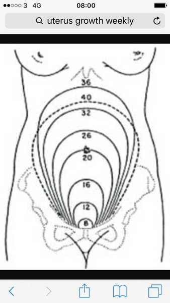 Due February 2017 - Thread 8!