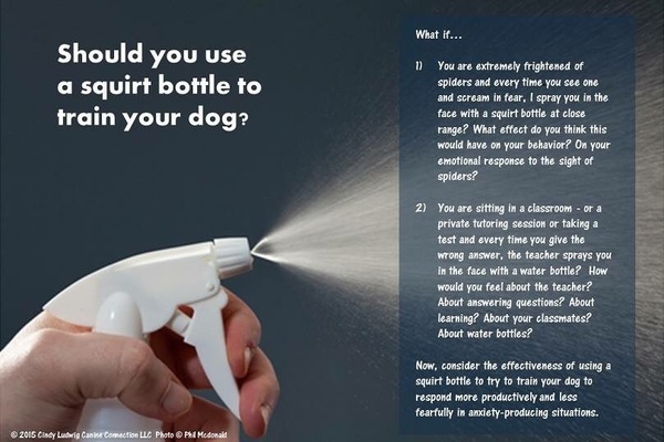 Anti bark collar
