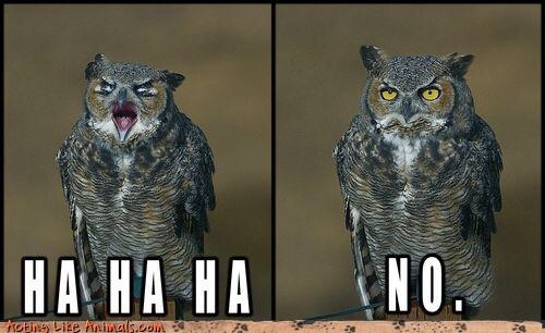 Thoughts on MNHQ's response to the Spartacus thread