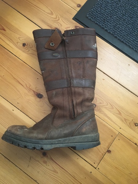 Dublin boots?