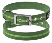 Help me find a lovely collar of a lovely colour for my Ruby Cavalier King Charles