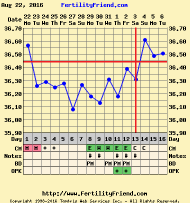Positive opk after miscarriage- 2