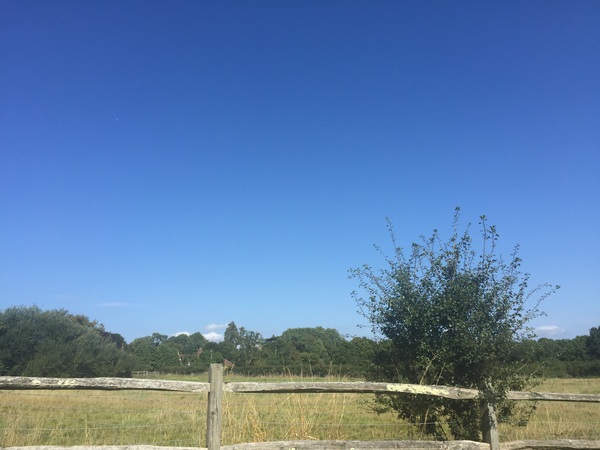 Super Scrimpers sashay, save & --squander-- their way through September