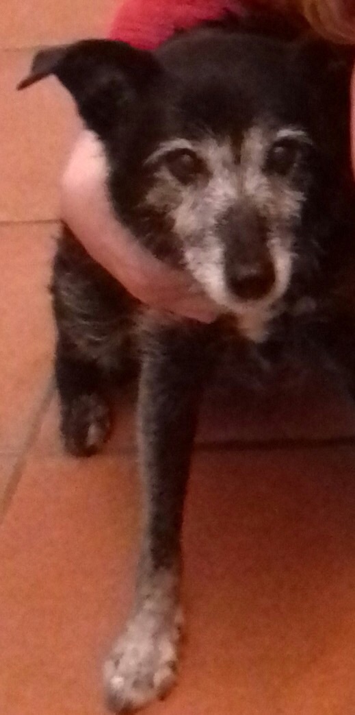 my darling is on her last lap - I need a bit of support