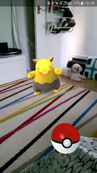 Pokemon Go #1 - the one where we've discovered the gaming board