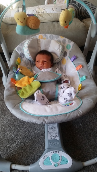 Thread 12 TTC#1 Grads. "You are my favourite thing that ever shit all over my hands"