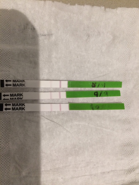 OPK advice following miscarriage- are these becoming positive? No idea...