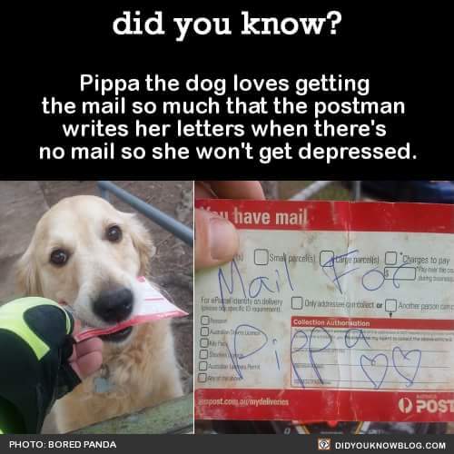 Check this out, it's really cute.