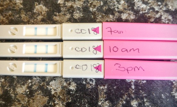 Positive OPKs today... intercourse last night... now what??
