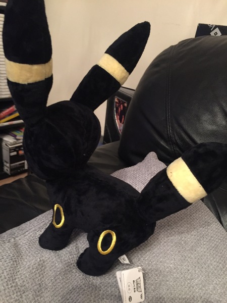 Thread 6 - the one where the shark beds go astray and we try not to eat our chocolate hauls