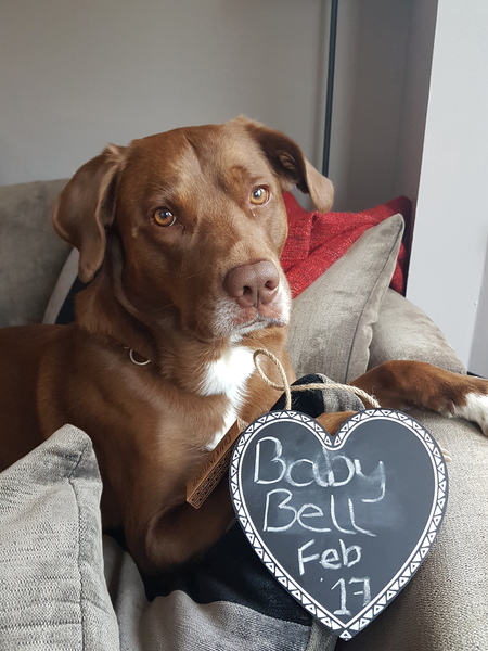 Due February 2017 - Thread 8!