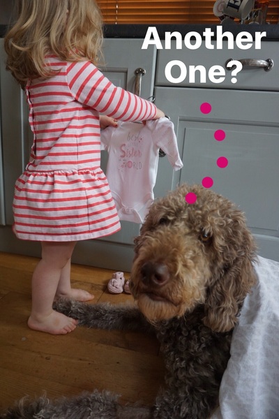 Due February 2017 - Thread 8!