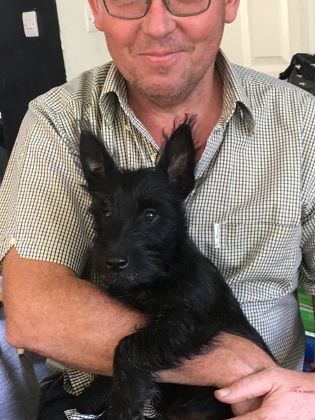 1 new puppy and many questions