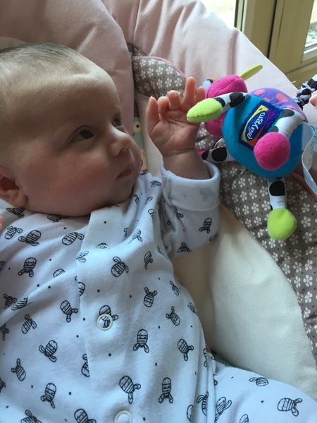 Thread 11. TTC #1 Grads, Babies Arriving Or 'Look At What I Made With My Genitals!'