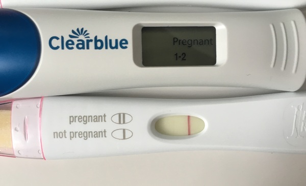 FET Sept/Oct