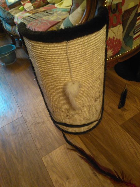 How can I stop my cats scratching my sofas? And pulling up my carpets