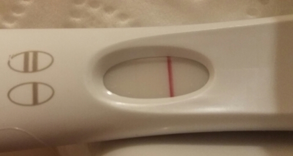 September bfp bus