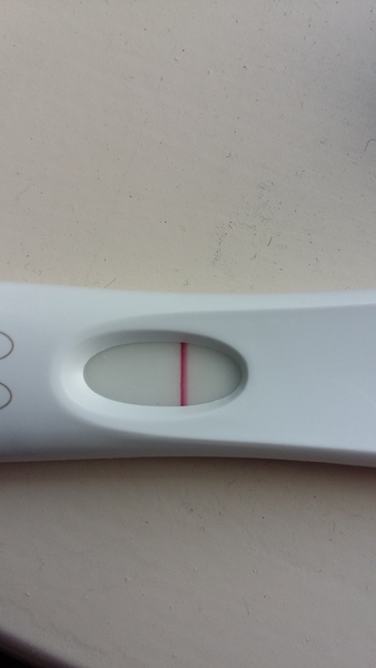 September bfp bus