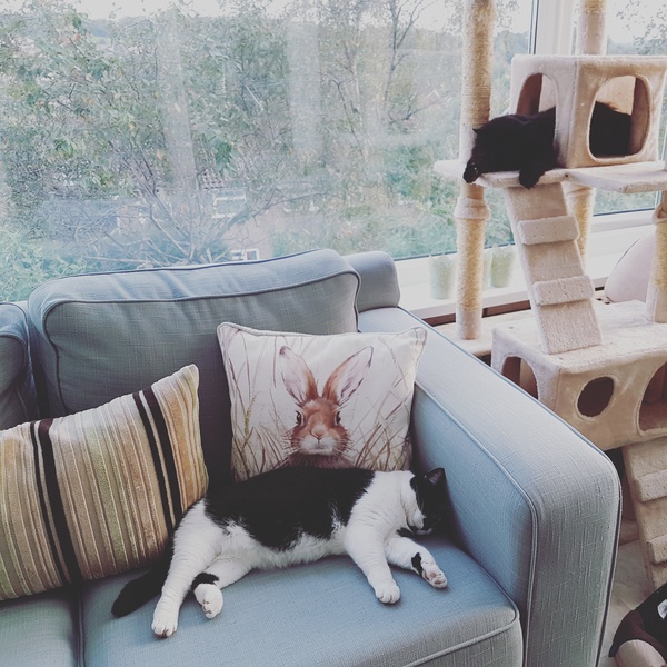 Thread 11. TTC #1 Grads, Babies Arriving Or 'Look At What I Made With My Genitals!'