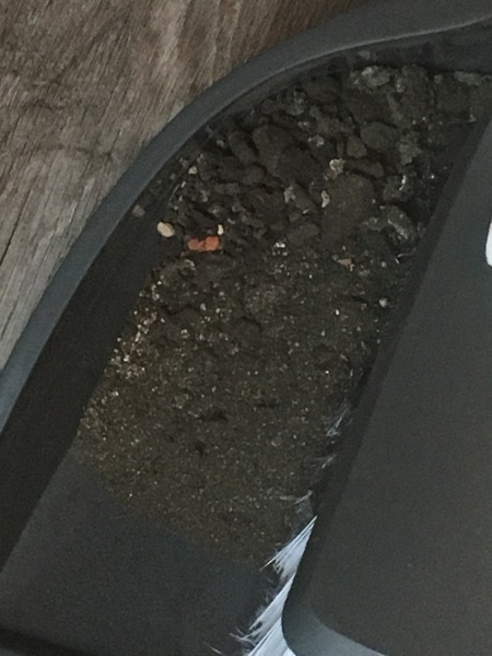 What is this cream cotton wool looking stuff inside my chimney flue?!