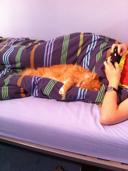 I love my cat so much it hurts. Is this normal?