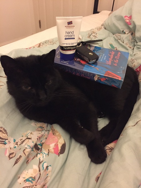 Balancing objects on cats.