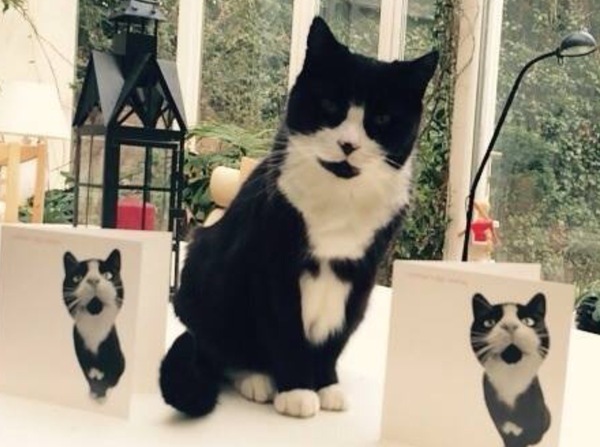 To ask you to share your slightly less than beautiful but much-loved pet pics