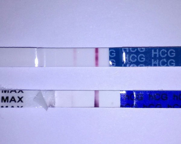 September bfp bus