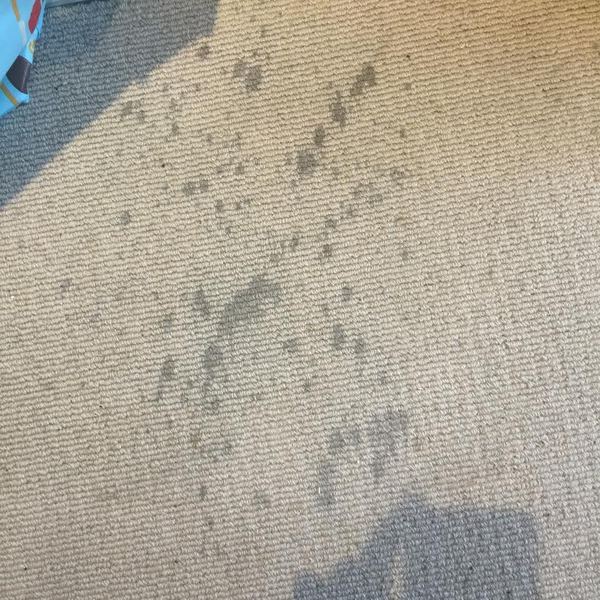 carpet leaking glue?