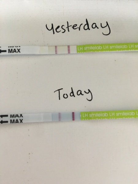Help with first time using OPK