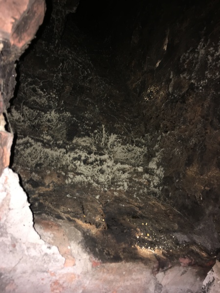 What is this cream cotton wool looking stuff inside my chimney flue?!