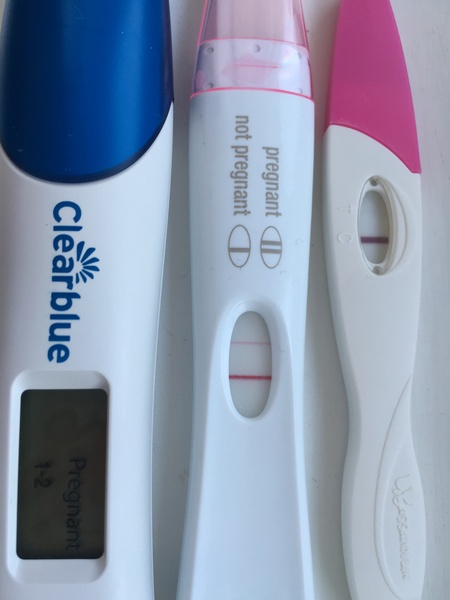 September bfp bus