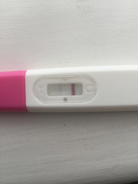 September bfp bus