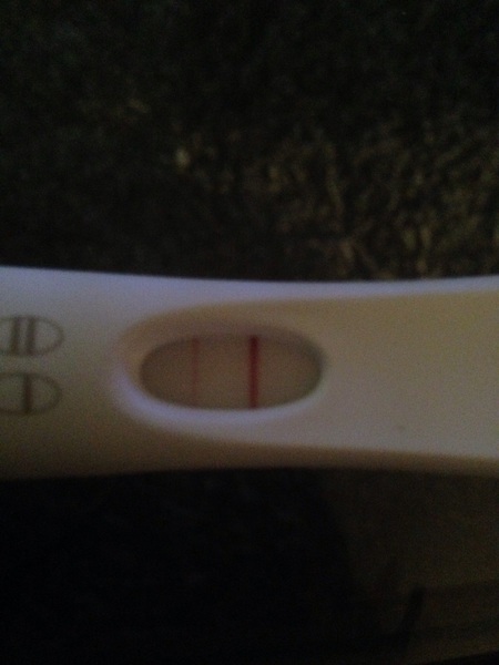 September bfp bus