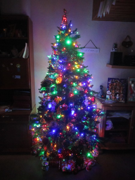 What height tree in a Victorian house?
