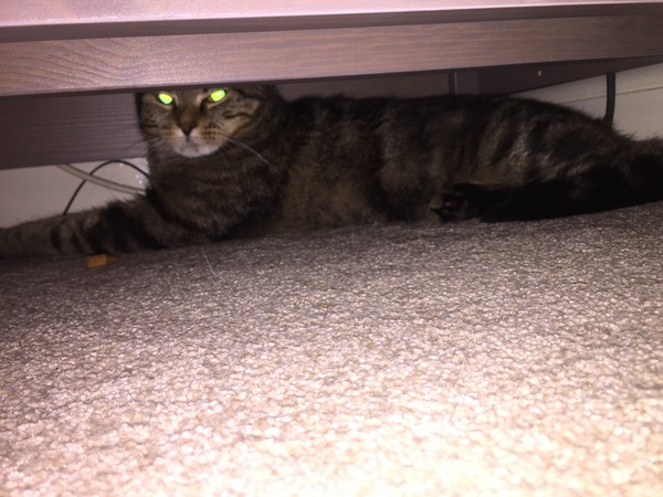 Super Scrimpers sashay, save & --squander-- their way through September