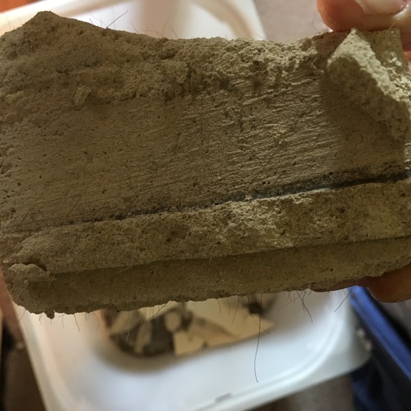 Could this be asbestos in ceiling?