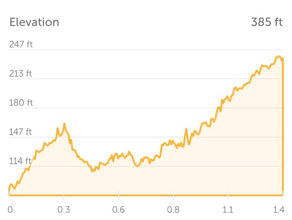 Half marathon - any one doing one?