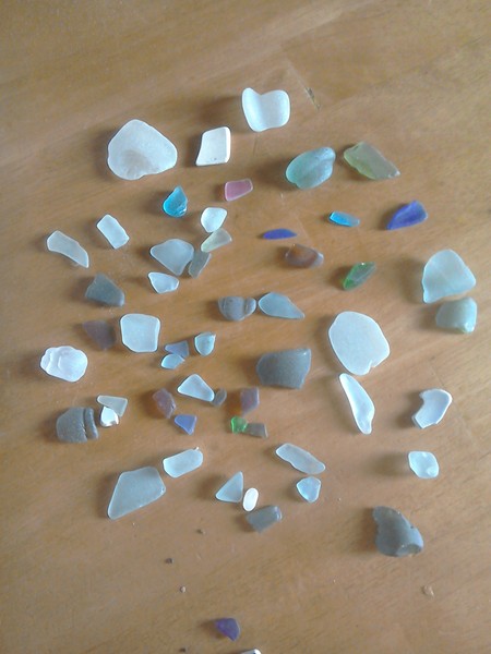 Brave Babes Battle Bus - Holding our heads up like thistles