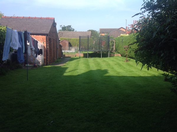 Neighbour issues - hedge problems!