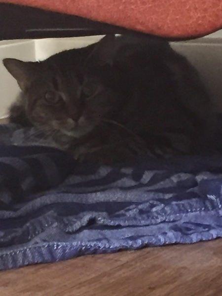 Super Scrimpers sashay, save & --squander-- their way through September