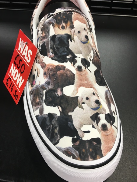 Anyone want to share their wacky shoes?