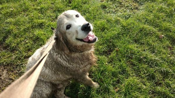 Meet Jess
